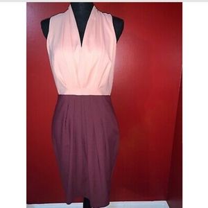 H&M Two Tone Pencil Dress